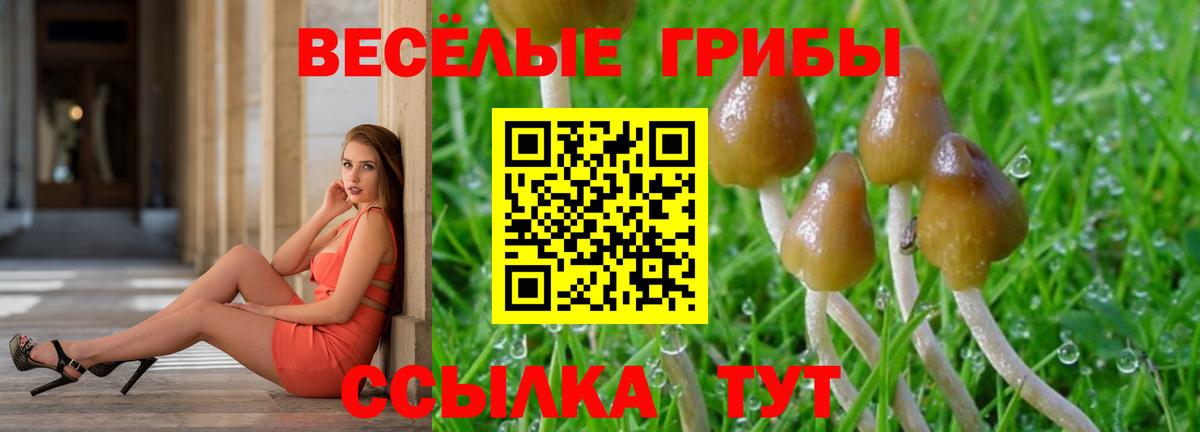 Псилоцибиновые грибы Psilocybe  Вход с VPN  наркошоп  Скопин 